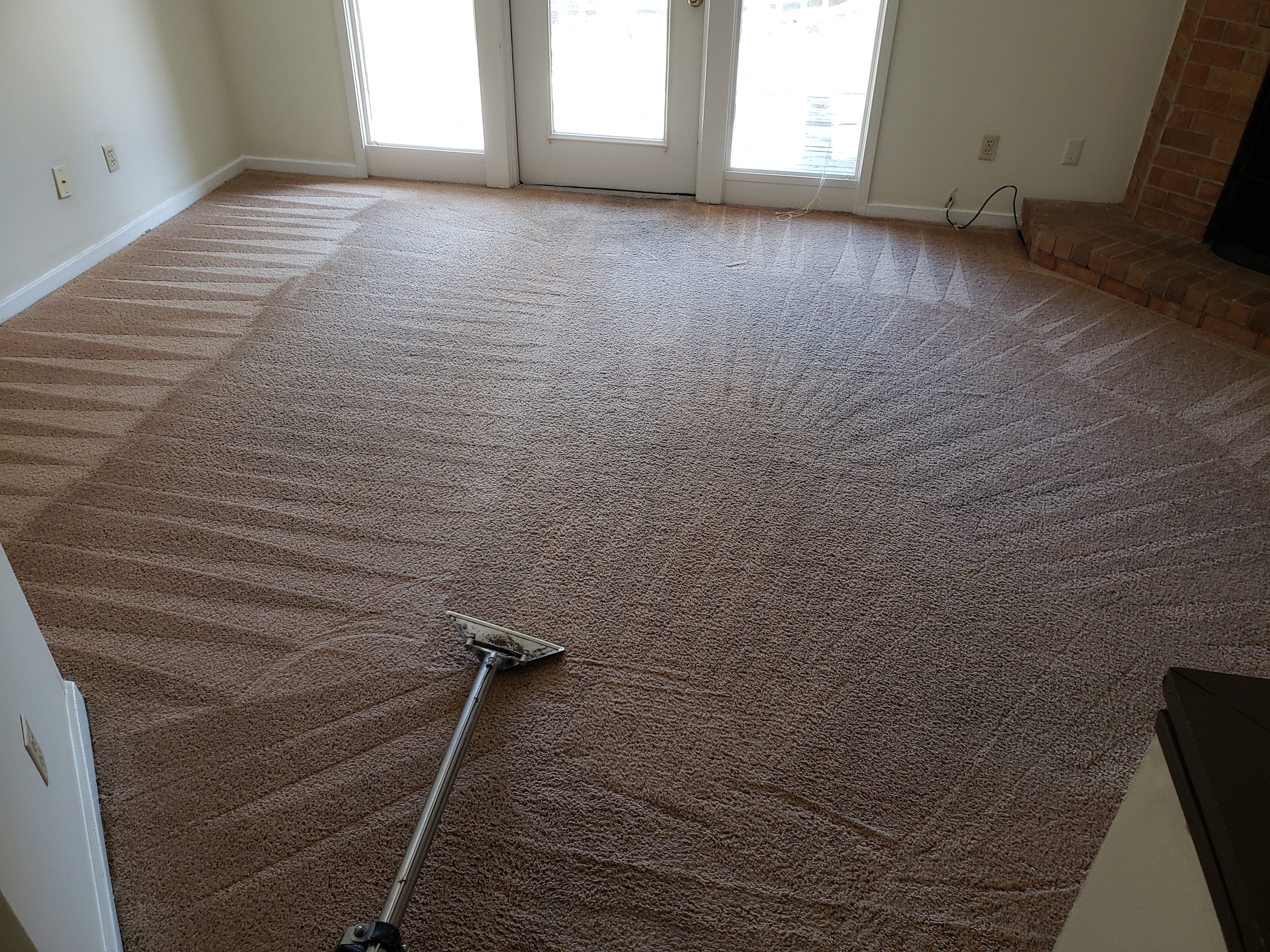 Carpet cleaning in progress living room