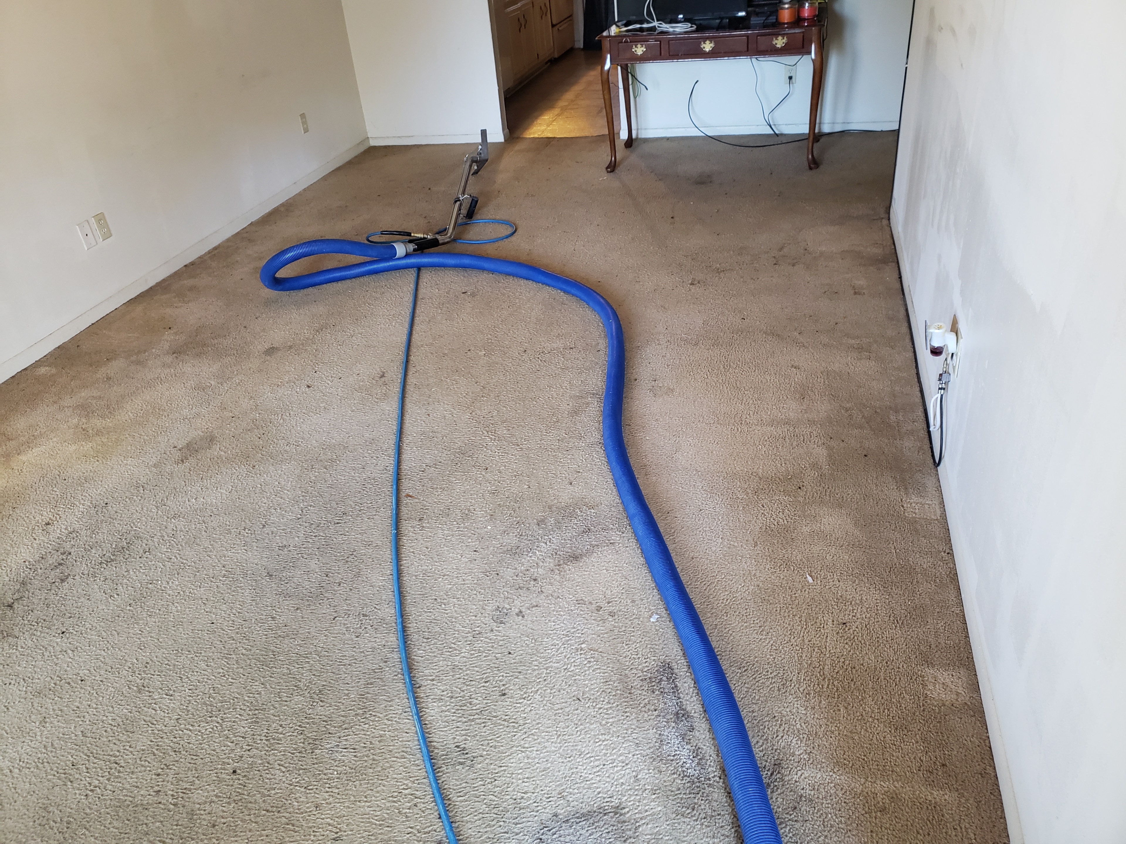Blue hose on carpet floor indoors