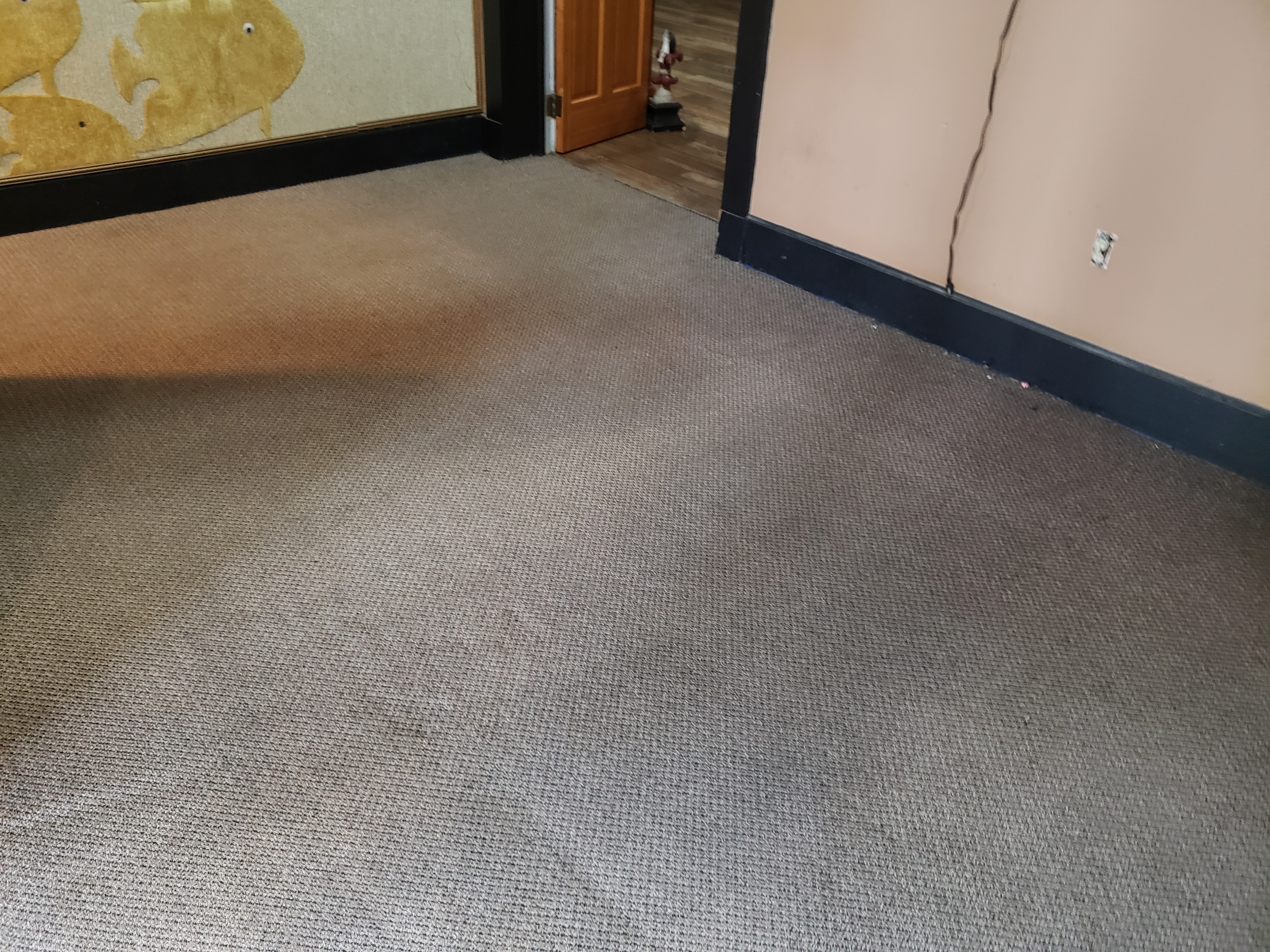 Empty office room with gray carpet
