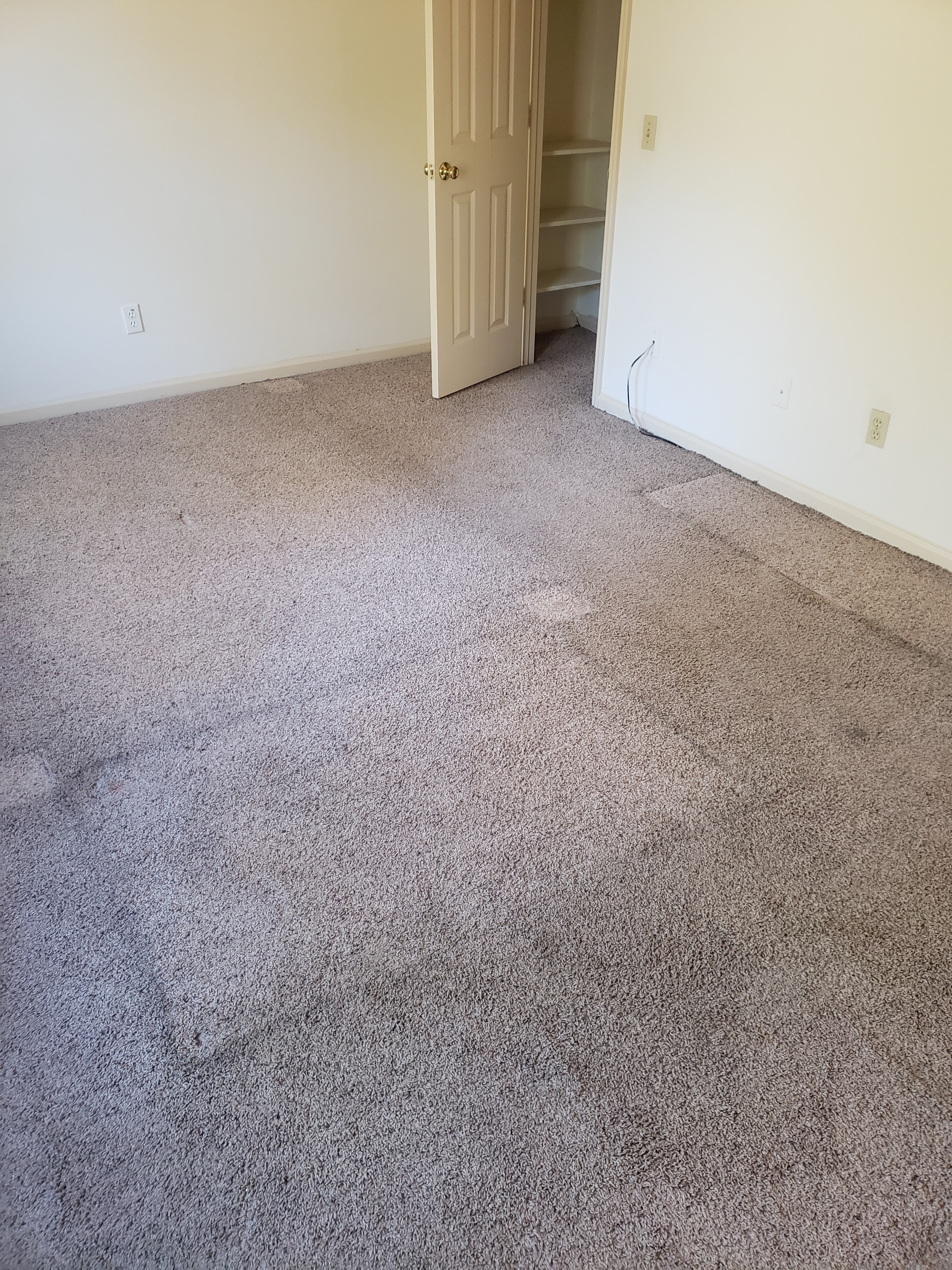 Empty bedroom with carpet and closet